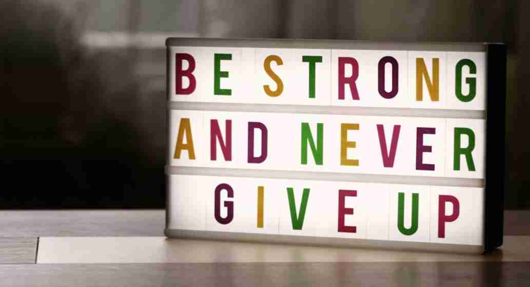Persistence in the Scheme of Life